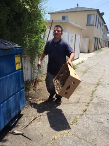 Culver City community clean up